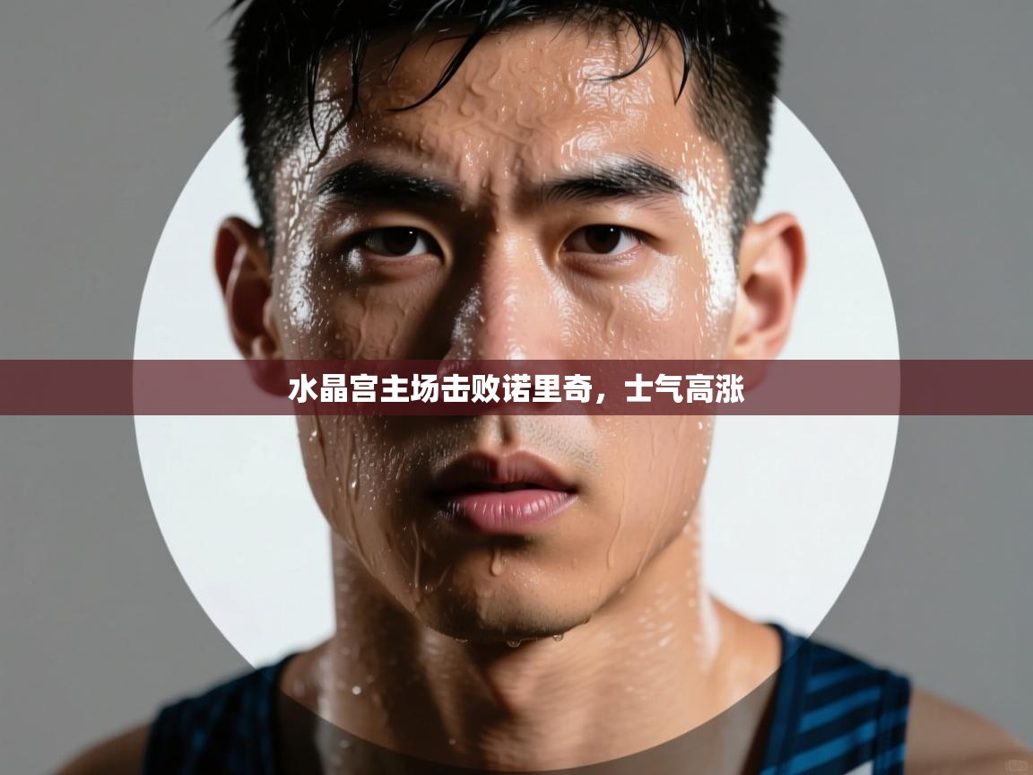 水晶宫主场击败诺里奇，士气高涨