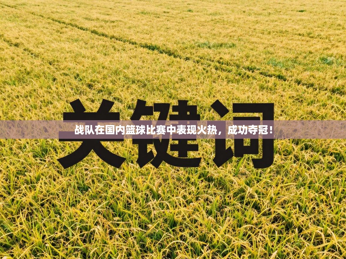 战队在国内篮球比赛中表现火热,成功夺冠! 第1张