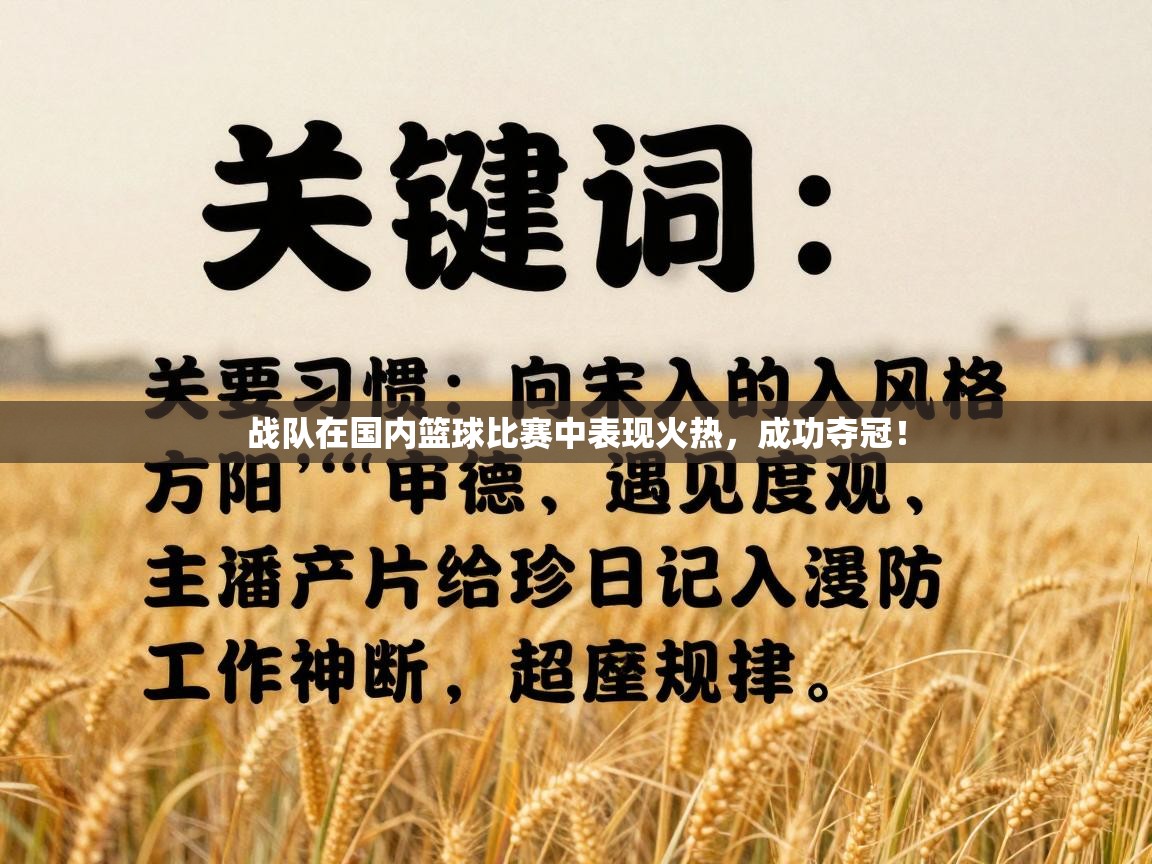 战队在国内篮球比赛中表现火热,成功夺冠! 第2张