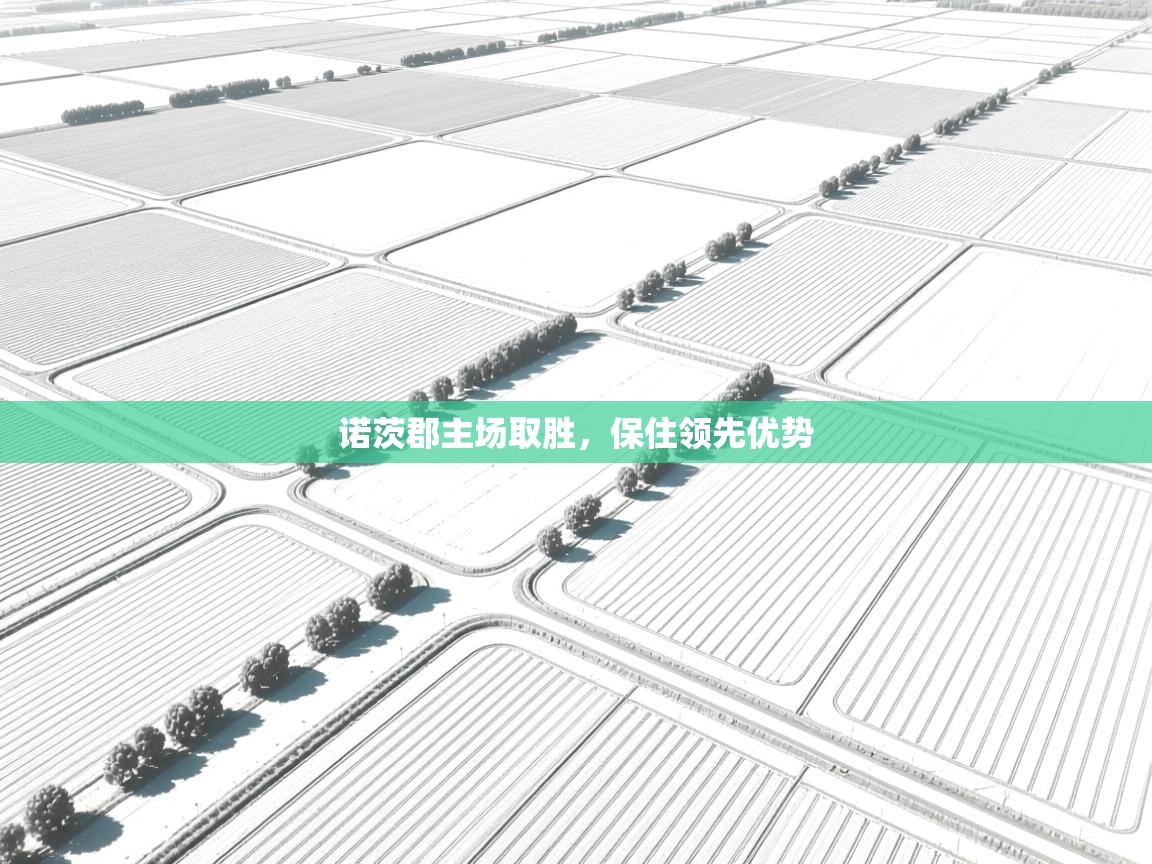 诺茨郡主场取胜，保住领先优势