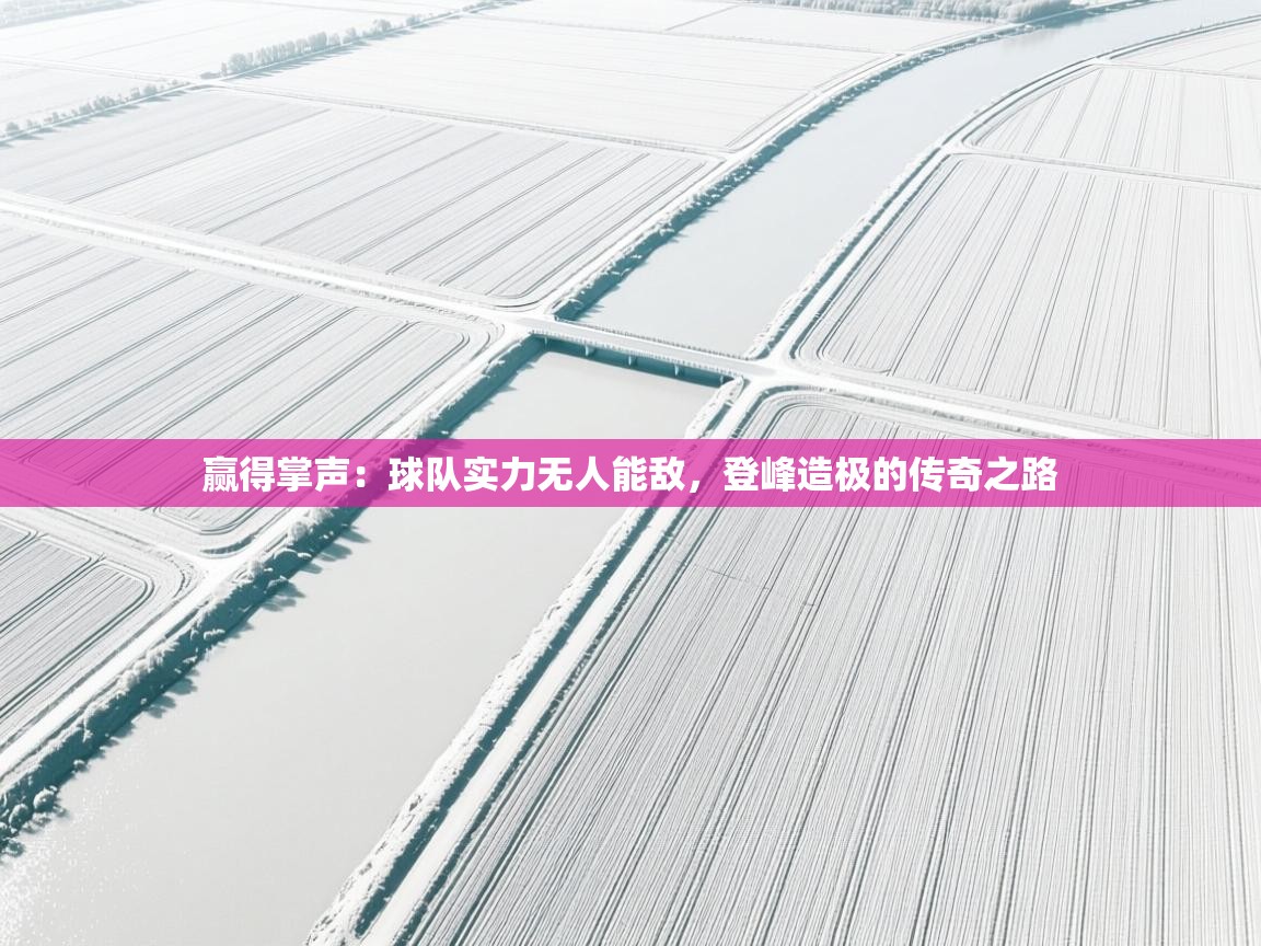 赢得掌声：球队实力无人能敌，登峰造极的传奇之路  第2张